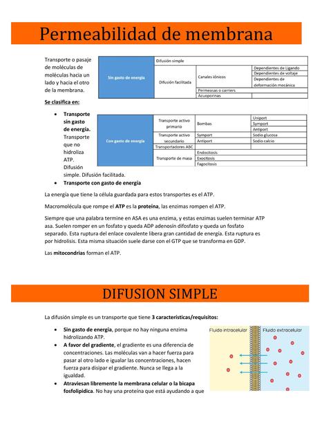 Permeabilidad de membrana