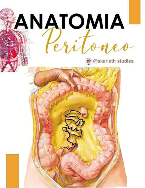 ANATOMIA PERITONEO