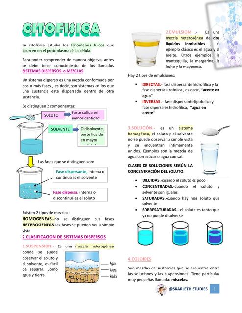 CITOFISICA Y CITOQUIMICA- BIOLOGIA PREUNIVERSITARIO