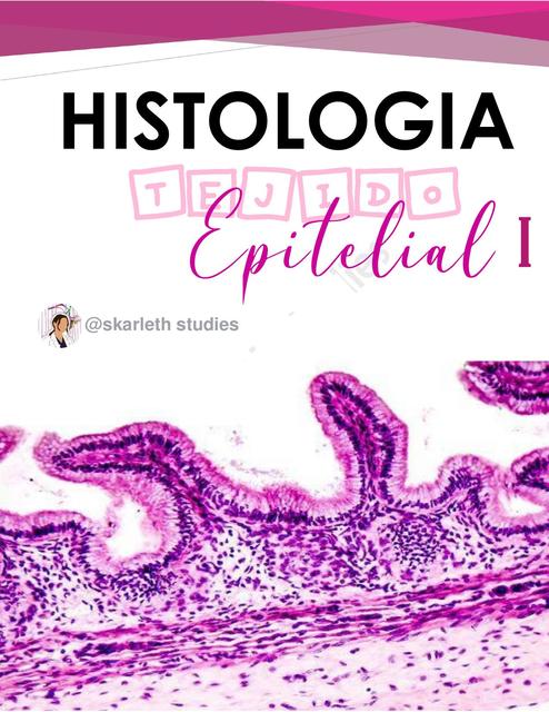 HISTOLOGIA -TEJIDO EPITELIAL i