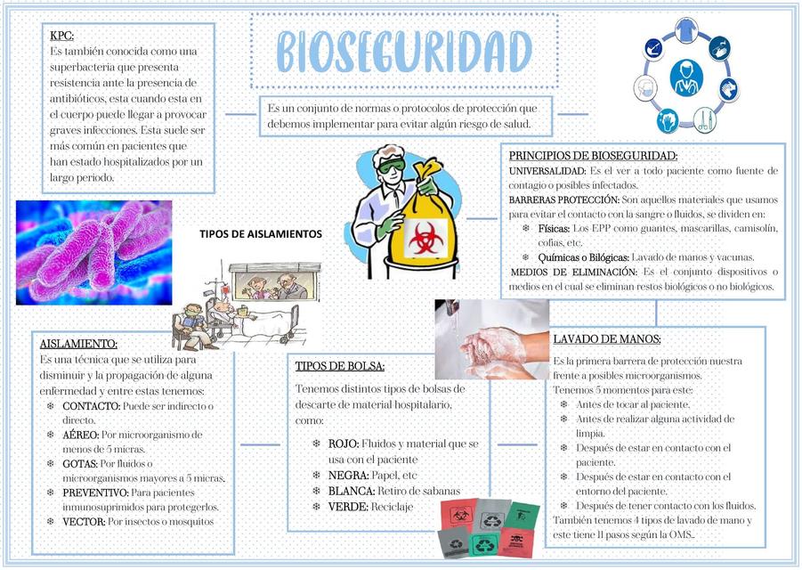 Bioseguridad Mapa Conceptual Esquemas Y Mapas Conceptuales De Porn The Best Porn Website