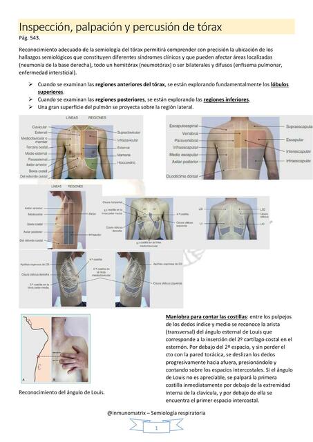 2 Inspección palpación y percusión de torax