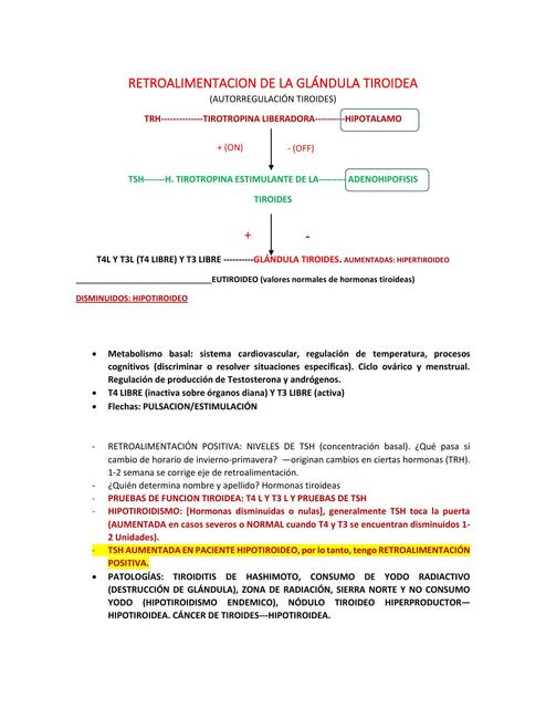 Retroalimentación de la Glándula Tiroidea 