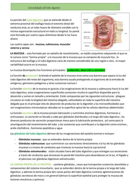 Generalidades de Tubo Digestivo