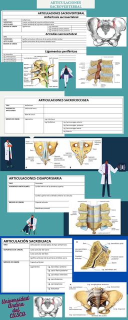 Articulaciones Sacro ilíaca