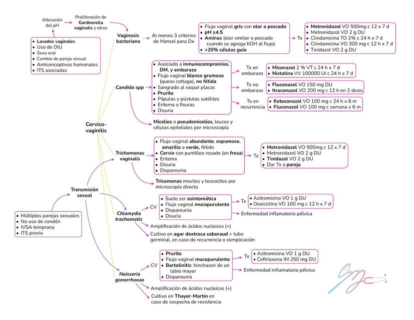 cervicovaginitis y enfermedad inflamatoria pelvica