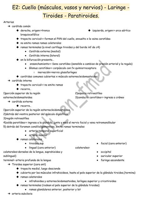 E2 Anatomía del Cuello 