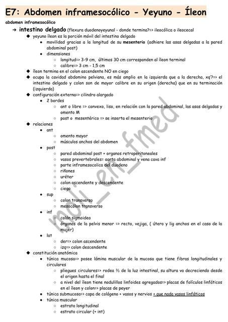 E7: Abdomen Inframesocólico 