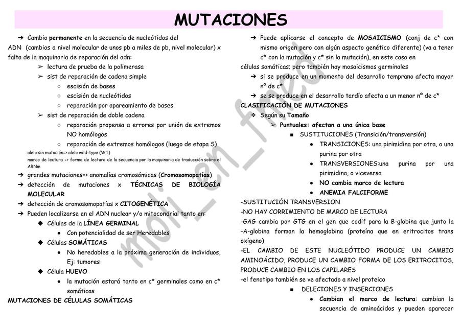 SC 2 GENETICA MUTACIONES