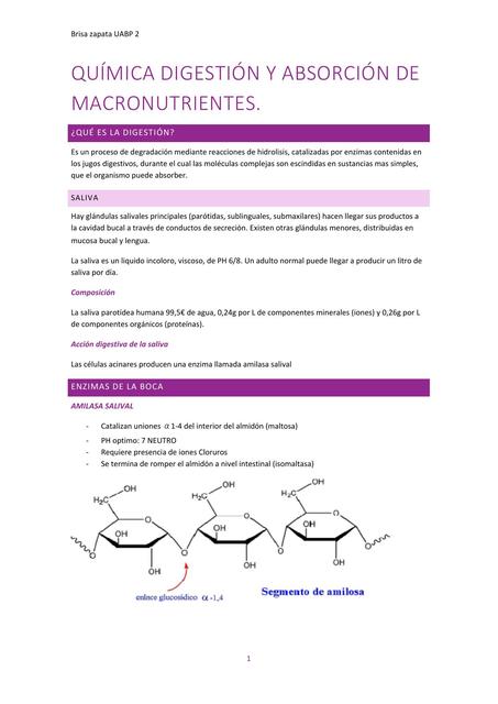 QUÍMICA DIGESTIÓN Y ABSORCIÓN DE MACRONUTRIENTES.