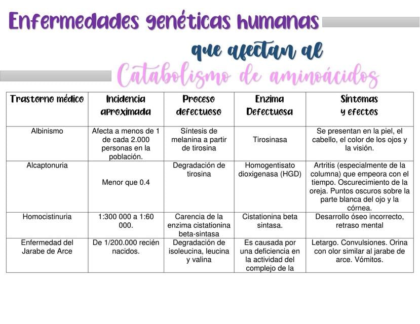 Enfermedades genéticas humanas que afectan al Catabolismo de Aminoácidos