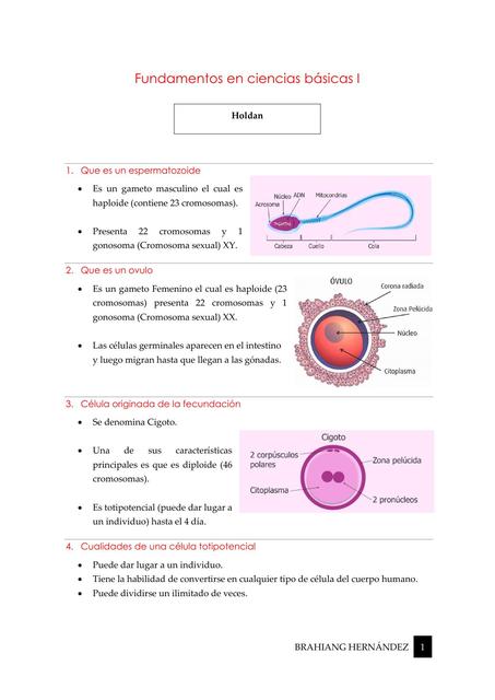 Fundamentos I