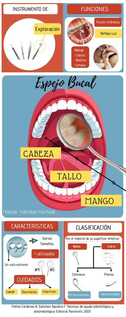 Infografía Espejo Bucal