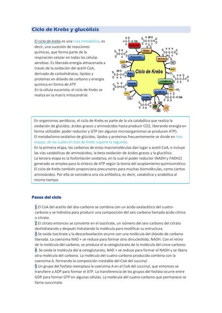 Ciclo de Krebs y Glucólisis