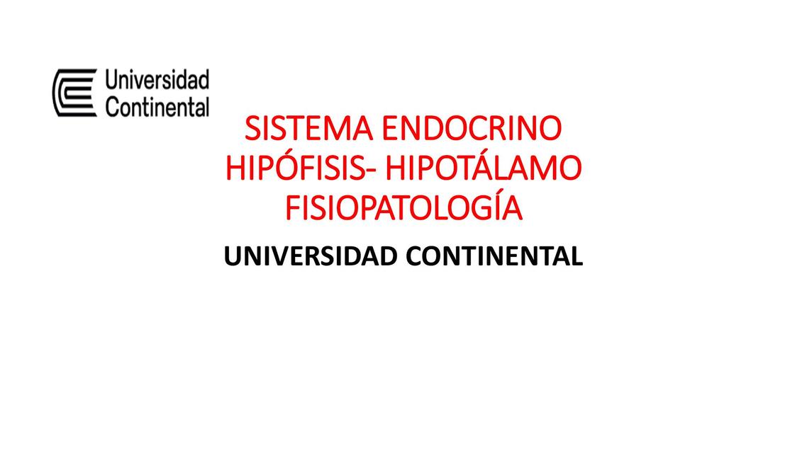 Sistema Endocrino 