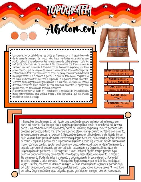 Localización topográfica de órganos abdominales