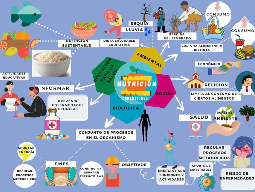 Mapa Nutrición