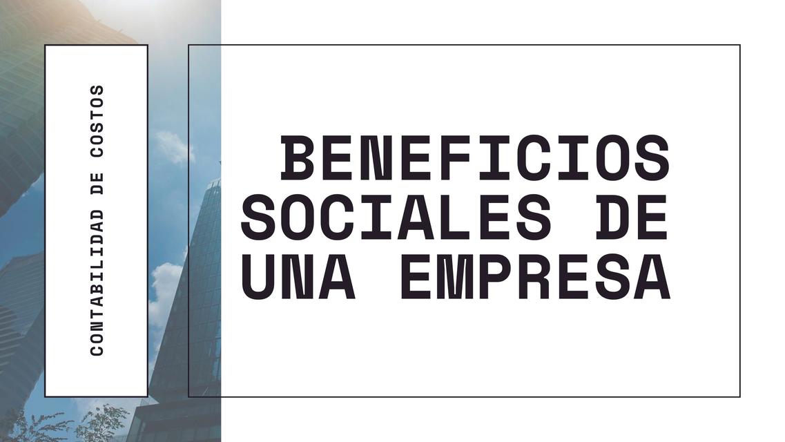 Beneficios Sociales de una Empresa