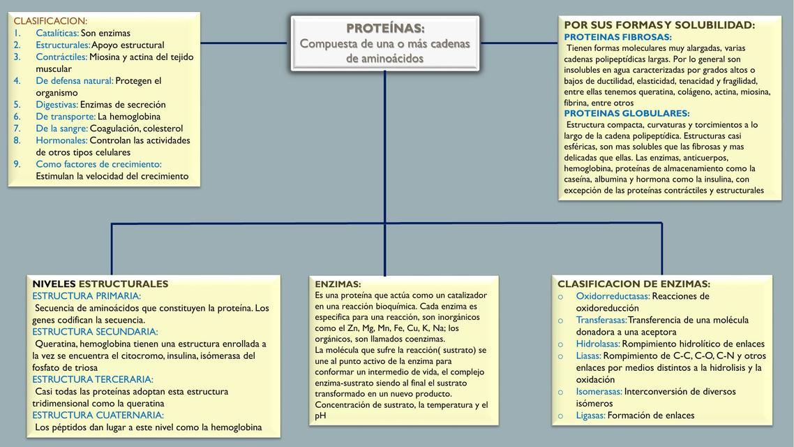 Proteínas 