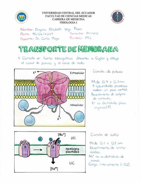 Transporte de Membrana