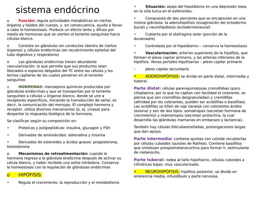 Sistema Endocrino 