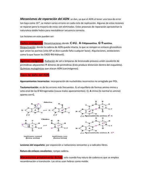 Mecanismos de Reparación del ADN