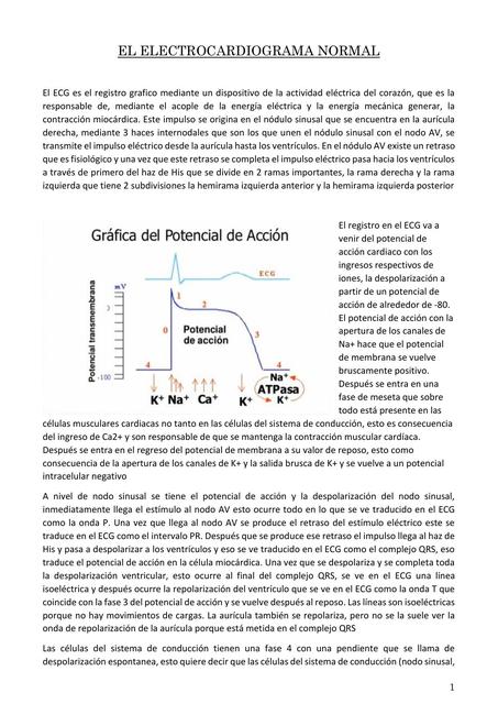 El Electrocardiograma Normal 