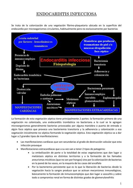 Endocarditis Infecciosa 