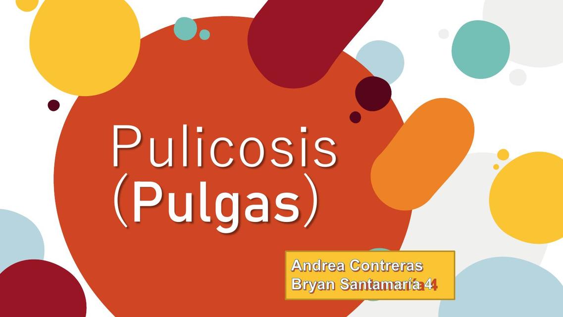 Pulicosis Pulgas