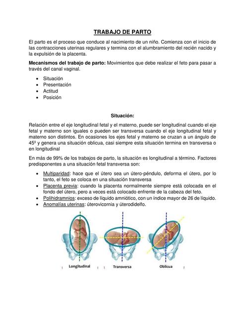 Trabajo de Parto 