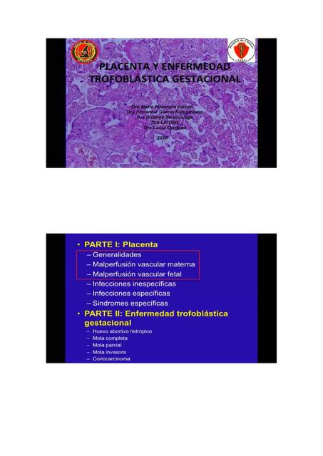 Placenta y Enfermedad Trofoblástica Gestacional 