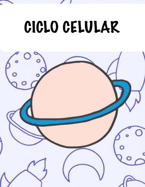 Ciclo Celular 