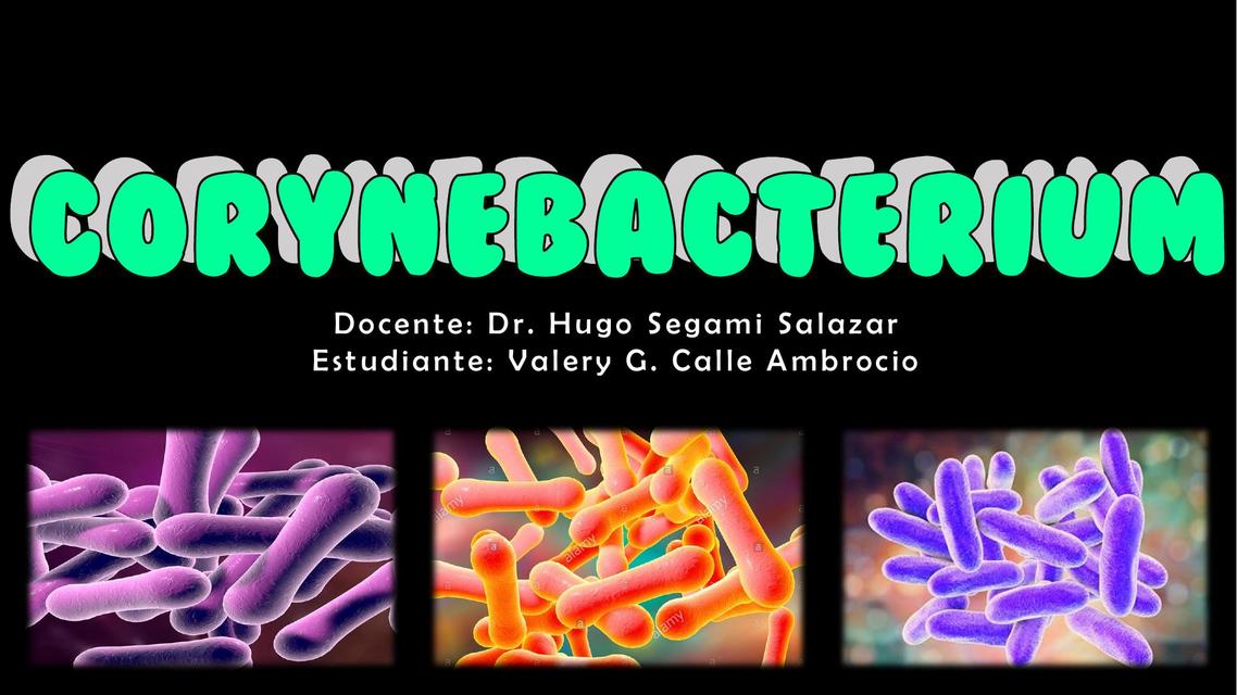 TEMA 35 CORYNEBACTERIUM CALLE AMBROCIO VALERY