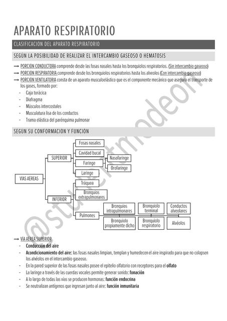 Aparato Respiratorio