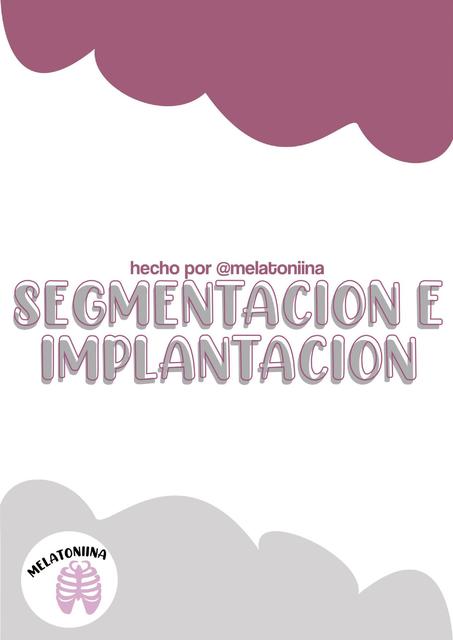 Segmentación e Implantación