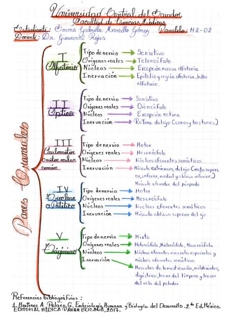 Origen de los Pares Craneales