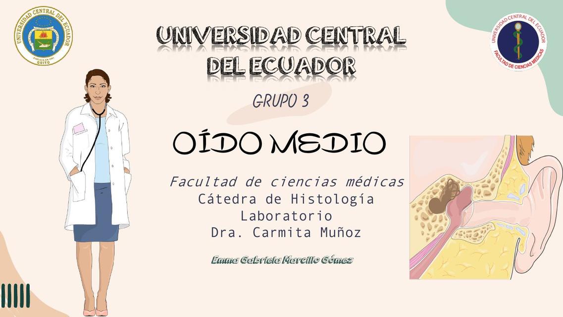 Oído medio histología