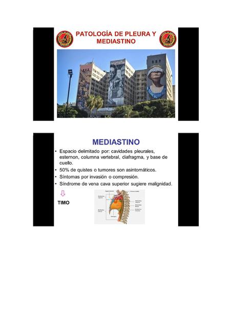 Pleura y Mediastino