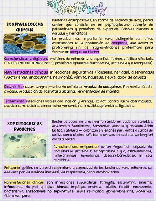 Microorganismos y patologías asociado a locomotor y tegumentos