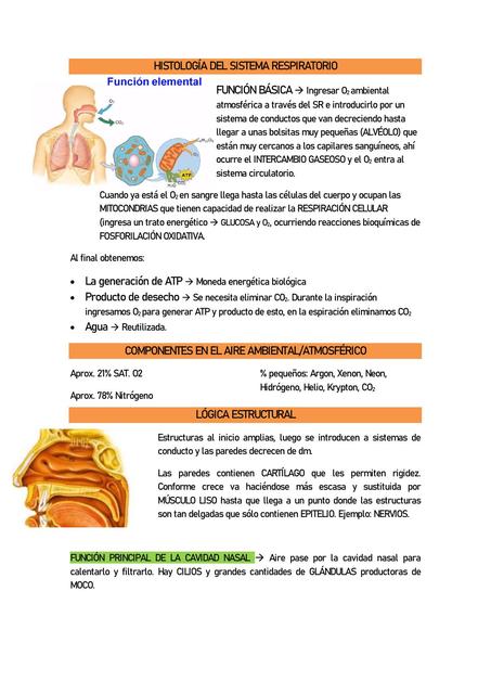 Histología del Sistema Respiratorio 