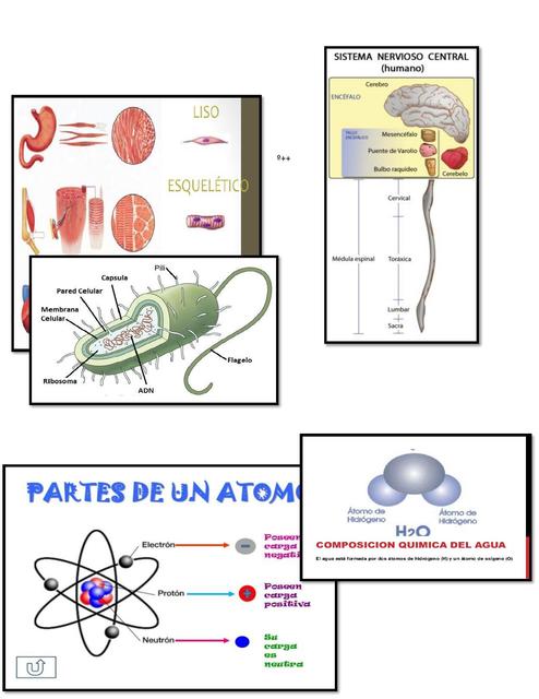 Biología