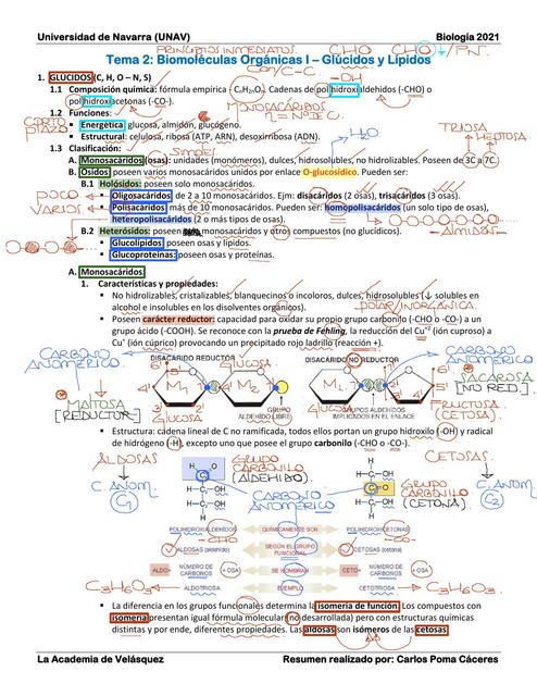 Biomoléculas Orgánicas