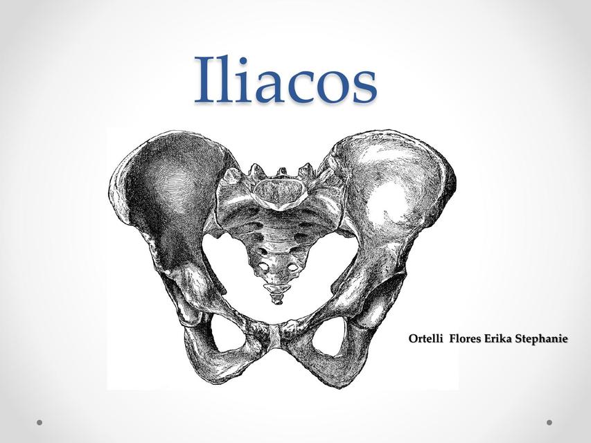 Anatomía Pelvis Ósea