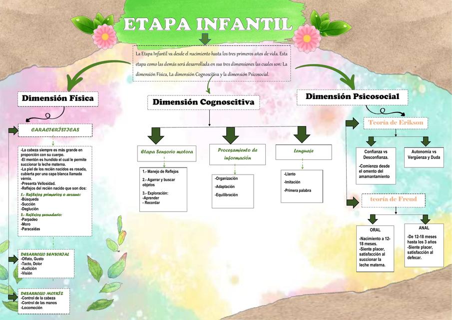 Etapa Infantil