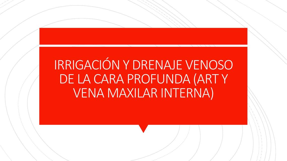 Irrigación y Drenaje Venoso de la Cara Profunda