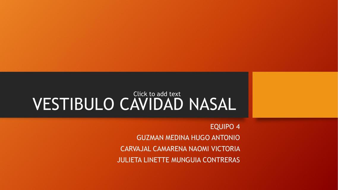 Vestíbulo Cavidad Nasal 