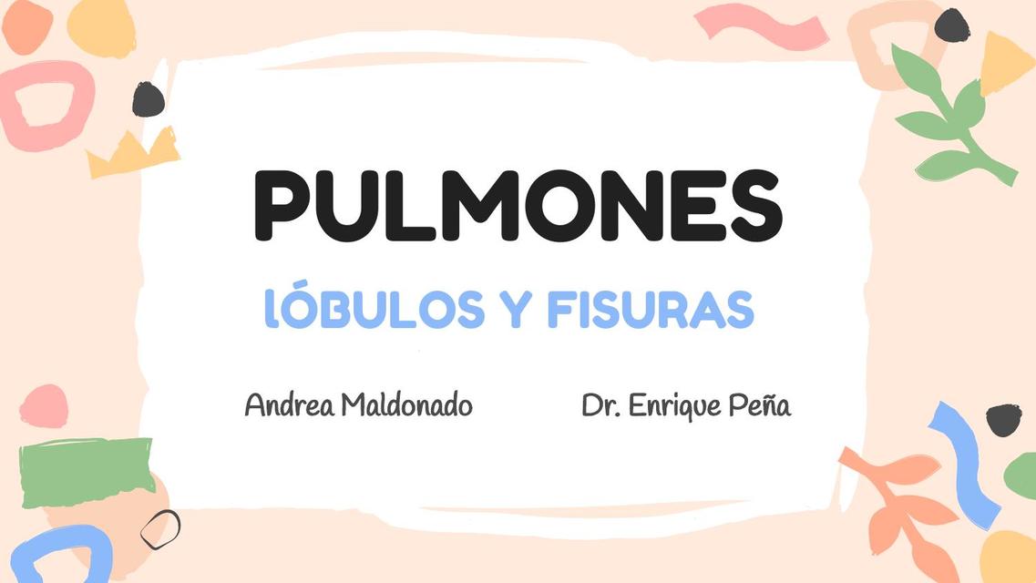 Pulmones - Generalidades lóbulos y fisuras