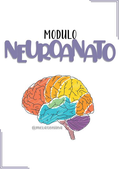 Caratula Neuroanatomia