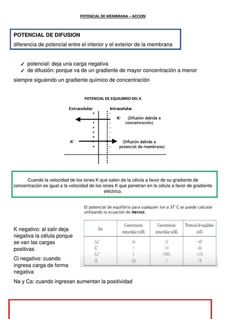 Potencial de Difusión 