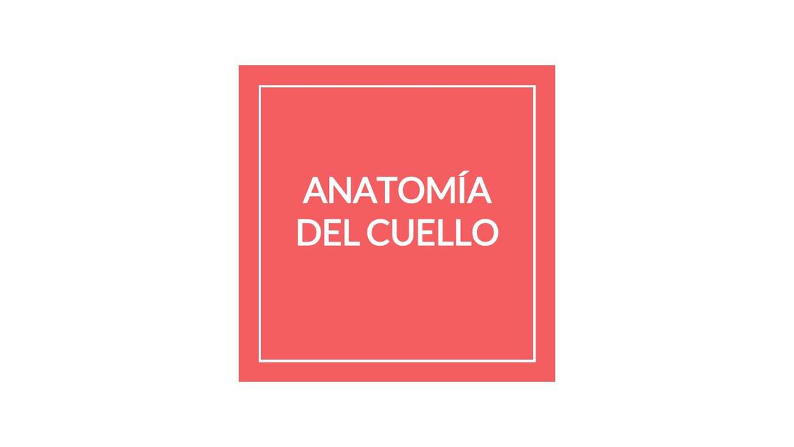 Anatomía del Cuello 